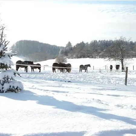 Prázdninový dům Holiday In Nahethal Waldau 3194